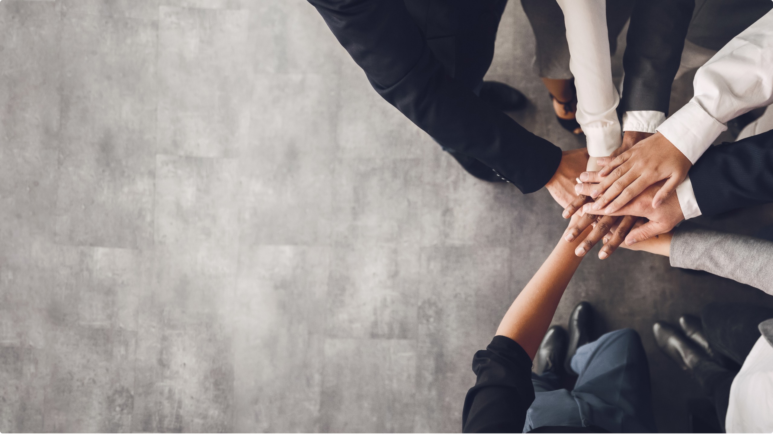 1000+ clienti assistiti dal nostro Team